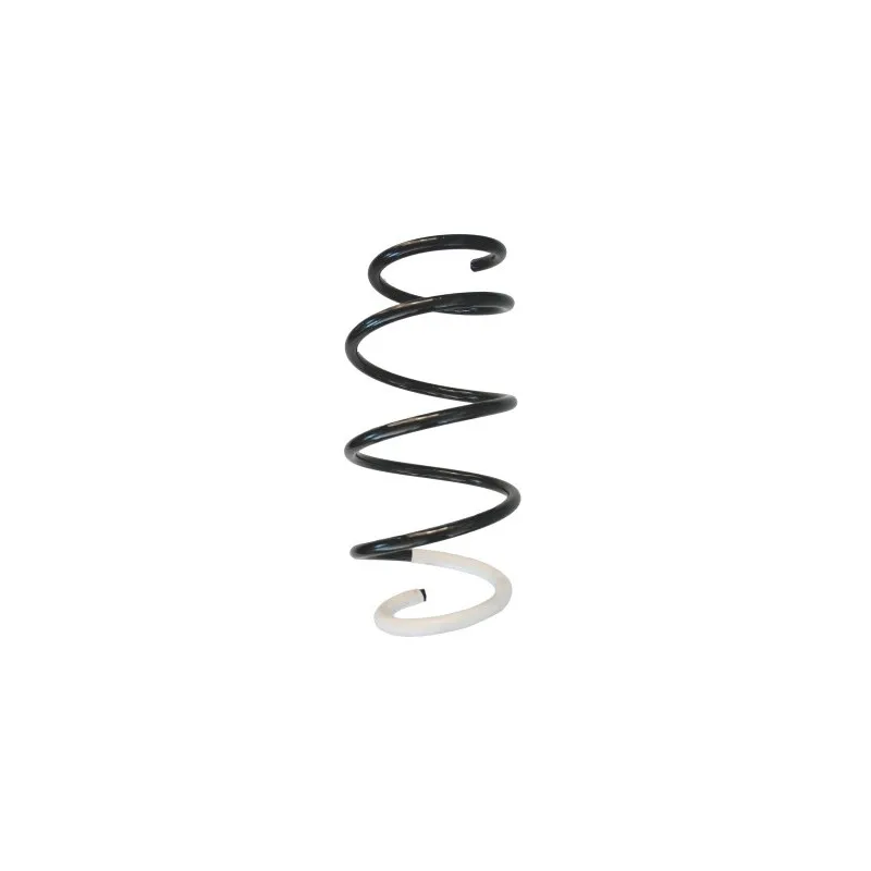 Ressort de suspension SPIDAN 86570