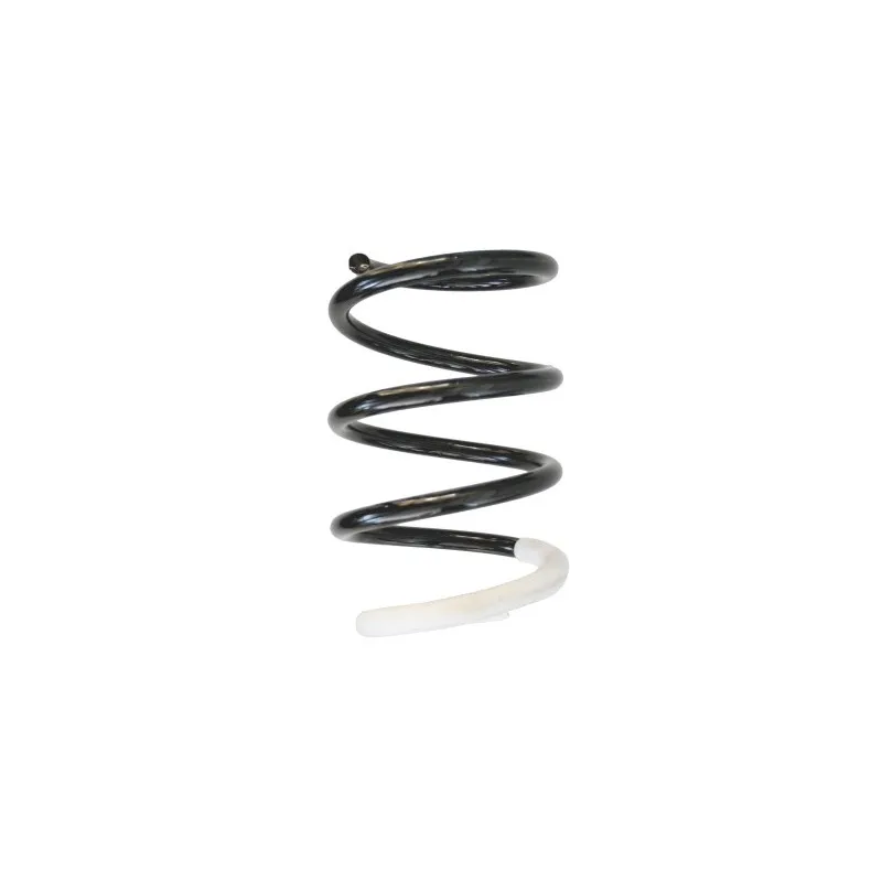 Ressort de suspension SPIDAN 86573