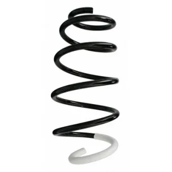 Ressort de suspension SPIDAN 86579