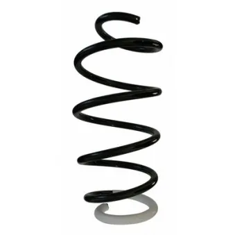 Ressort de suspension SPIDAN 86580