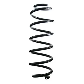 Ressort de suspension SPIDAN 86581