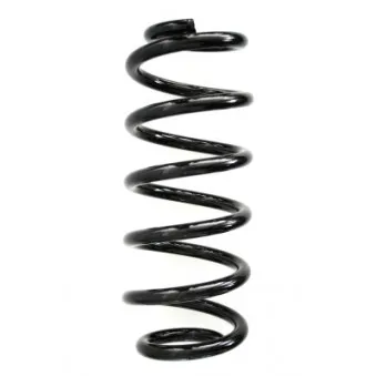 Ressort de suspension SPIDAN 86587
