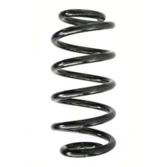 Ressort de suspension SPIDAN 86591