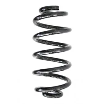 Ressort de suspension SPIDAN 86594