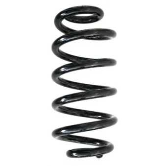 Ressort de suspension SPIDAN 86595