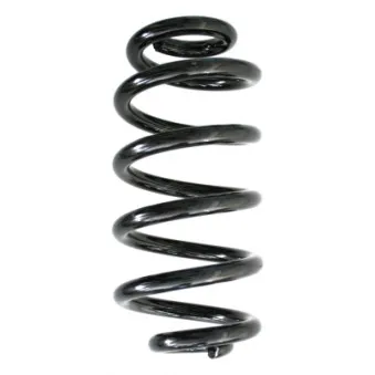 Ressort de suspension SPIDAN 86596
