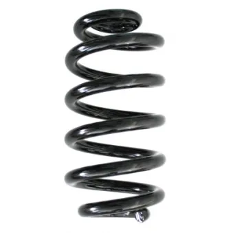 Ressort de suspension SPIDAN 86599