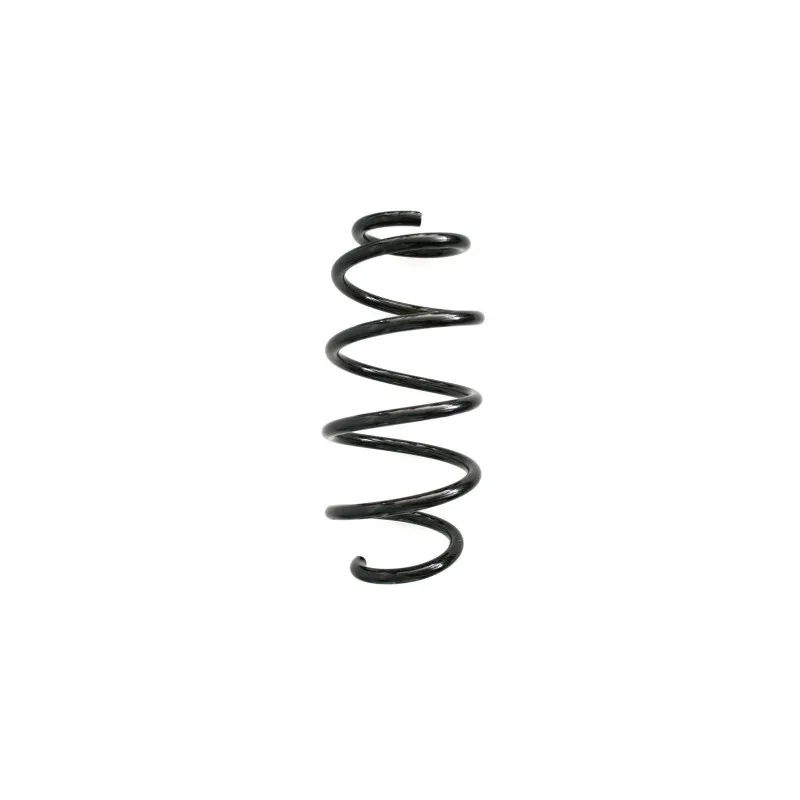 Ressort de suspension SPIDAN 86613