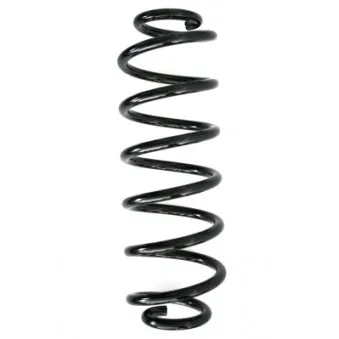 Ressort de suspension SPIDAN 86619