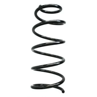 Ressort de suspension SPIDAN 86620