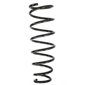 Ressort de suspension SPIDAN 86629
