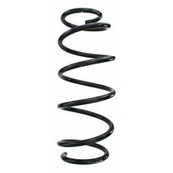 Ressort de suspension SPIDAN 86641