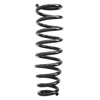 Ressort de suspension SPIDAN 86645