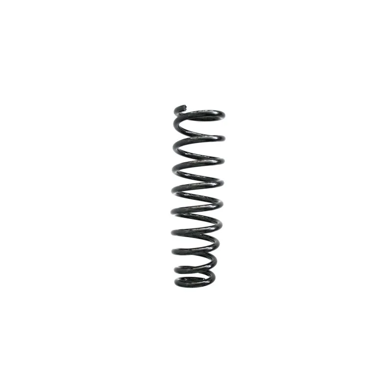 Ressort de suspension SPIDAN 86646