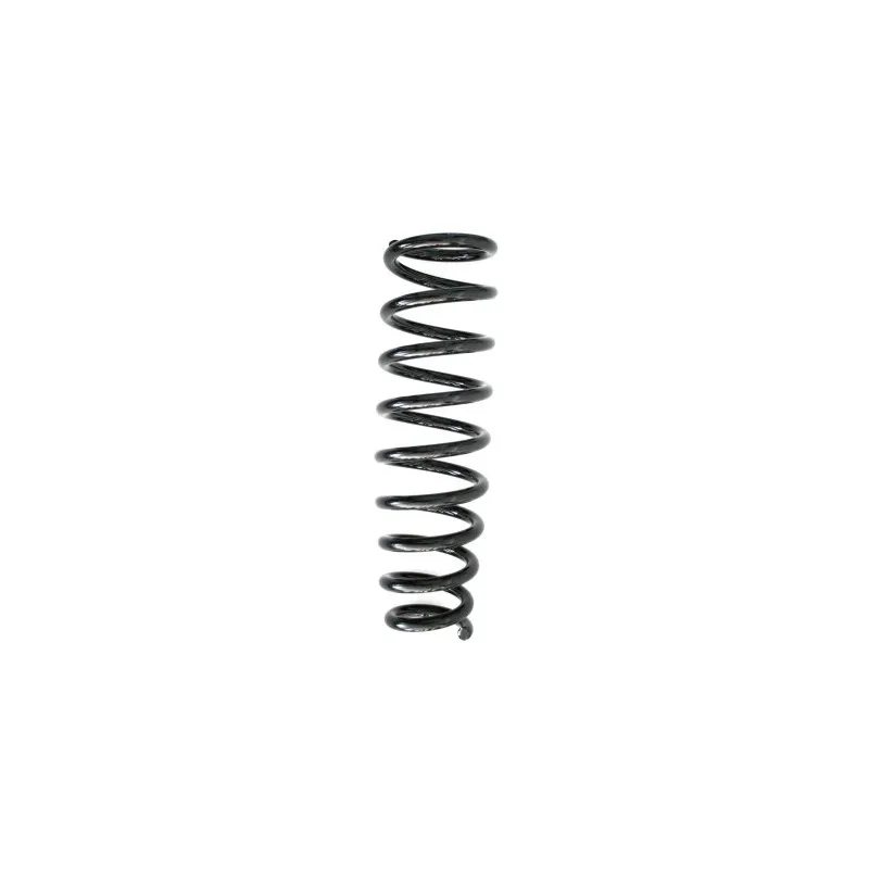 Ressort de suspension SPIDAN 86647