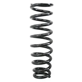 Ressort de suspension SPIDAN 86648