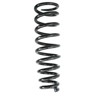 Ressort de suspension SPIDAN 86649