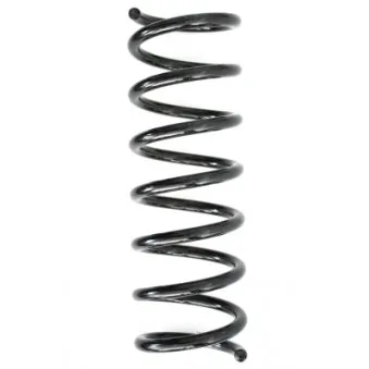 Ressort de suspension SPIDAN 86665