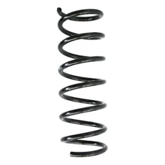 Ressort de suspension SPIDAN 86669