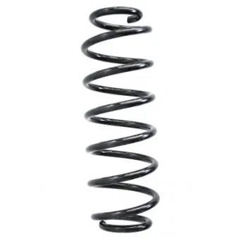 Ressort de suspension SPIDAN 86674