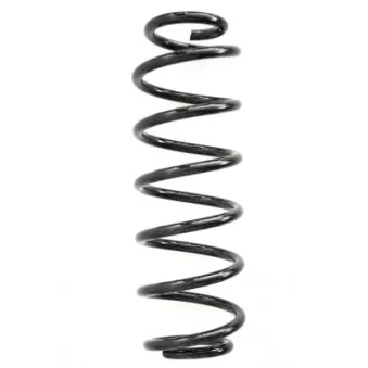 Ressort de suspension SPIDAN 86675