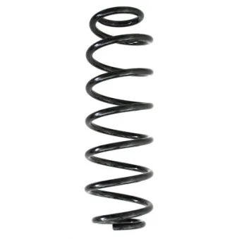 Ressort de suspension SPIDAN 86680