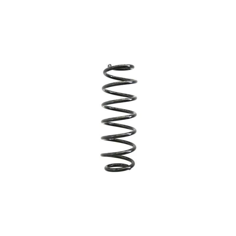 Ressort de suspension SPIDAN 86702