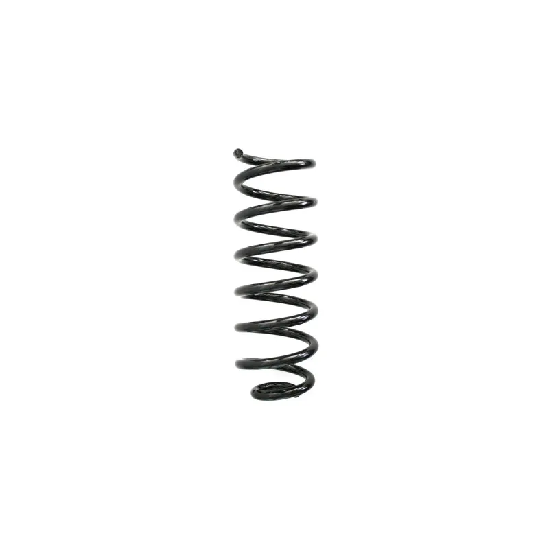Ressort de suspension SPIDAN 86704