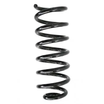 Ressort de suspension SPIDAN 86705