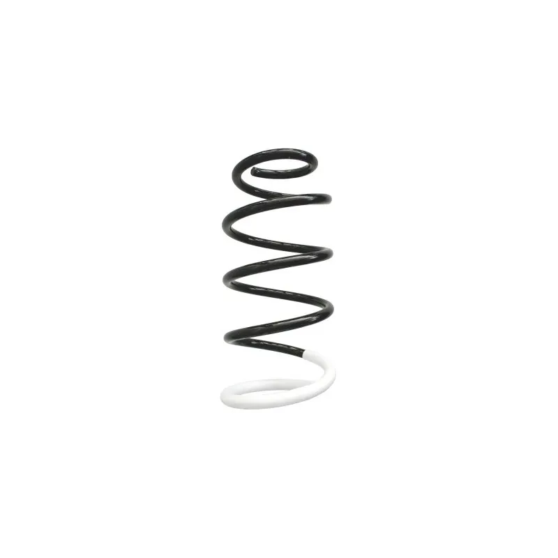 Ressort de suspension SPIDAN 86709