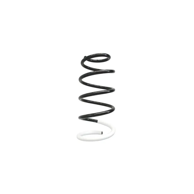 Ressort de suspension SPIDAN 86710