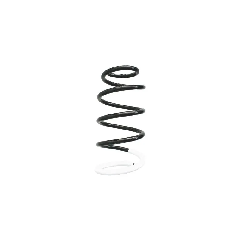 Ressort de suspension SPIDAN 86711