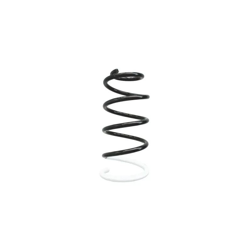 Ressort de suspension SPIDAN 86713