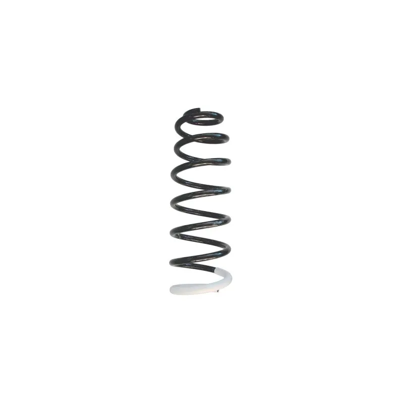 Ressort de suspension SPIDAN 86716