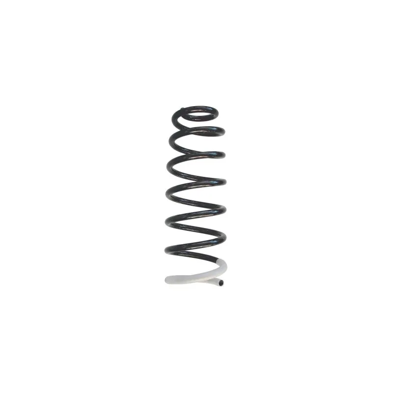 Ressort de suspension SPIDAN 86717