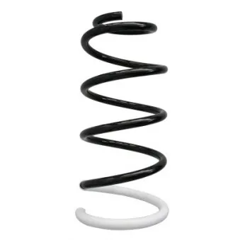 Ressort de suspension SPIDAN 86719