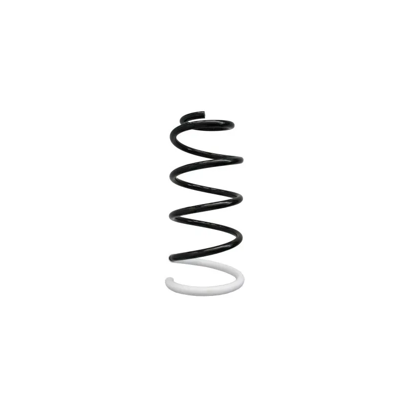 Ressort de suspension SPIDAN 86719