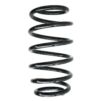 Ressort de suspension SPIDAN 86732