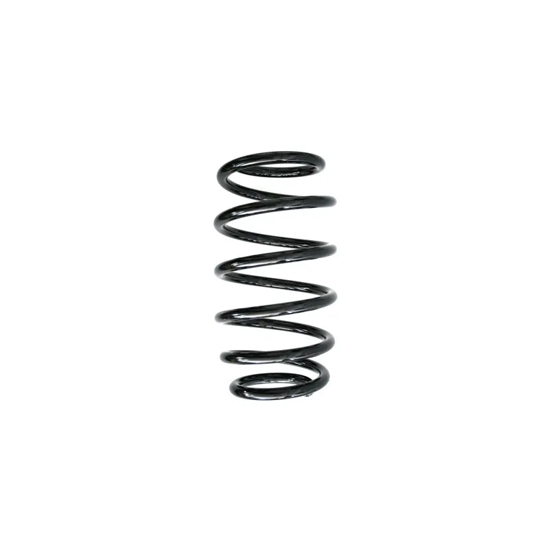 Ressort de suspension SPIDAN 86732