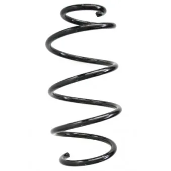 Ressort de suspension SPIDAN 86745