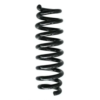 Ressort de suspension SPIDAN 86756