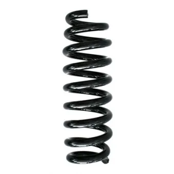 Ressort de suspension SPIDAN 86757