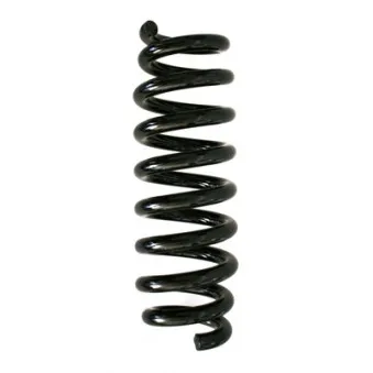 Ressort de suspension SPIDAN 86758