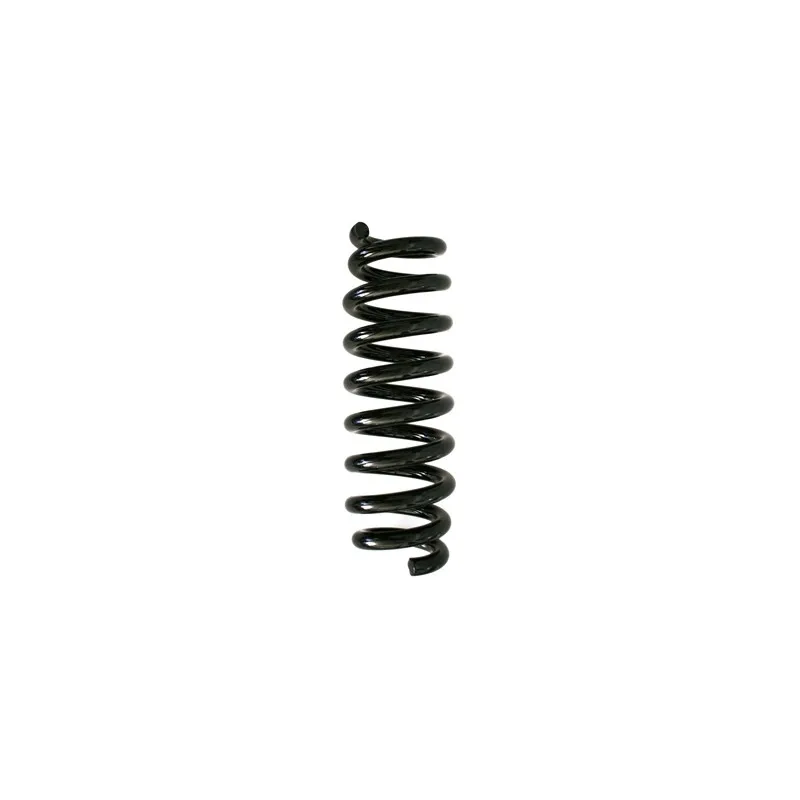 Ressort de suspension SPIDAN 86758