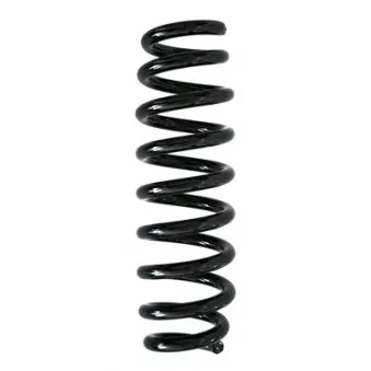 Ressort de suspension SPIDAN 86759