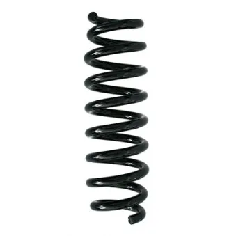 Ressort de suspension SPIDAN 86761