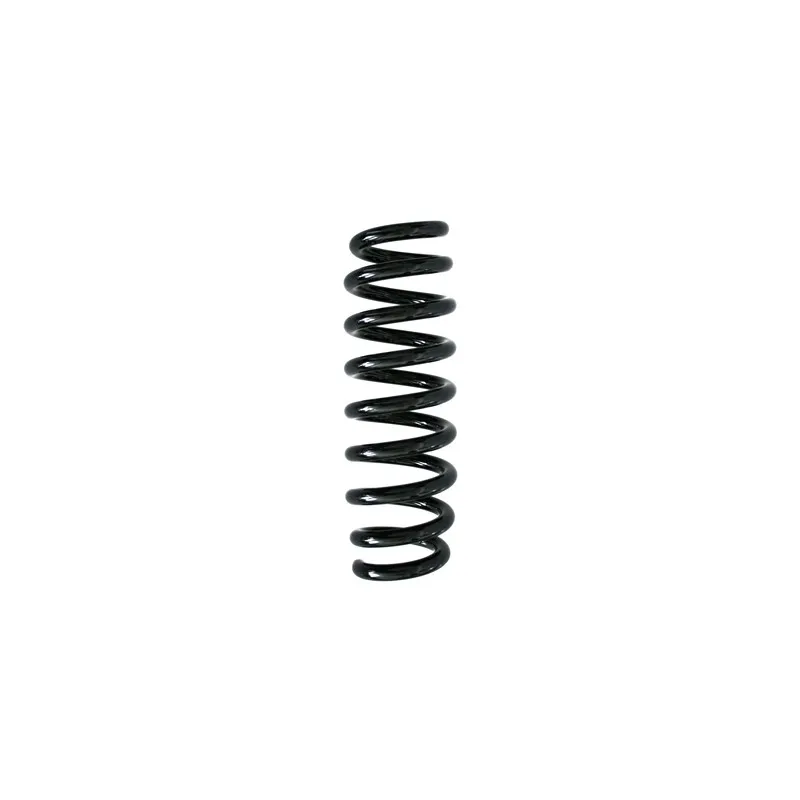 Ressort de suspension SPIDAN 86763