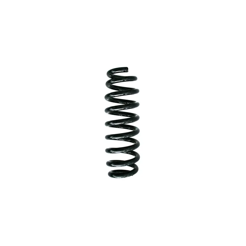 Ressort de suspension SPIDAN 86764