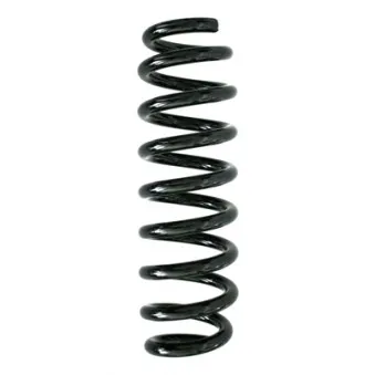 Ressort de suspension SPIDAN 86766