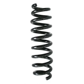 Ressort de suspension SPIDAN 86769
